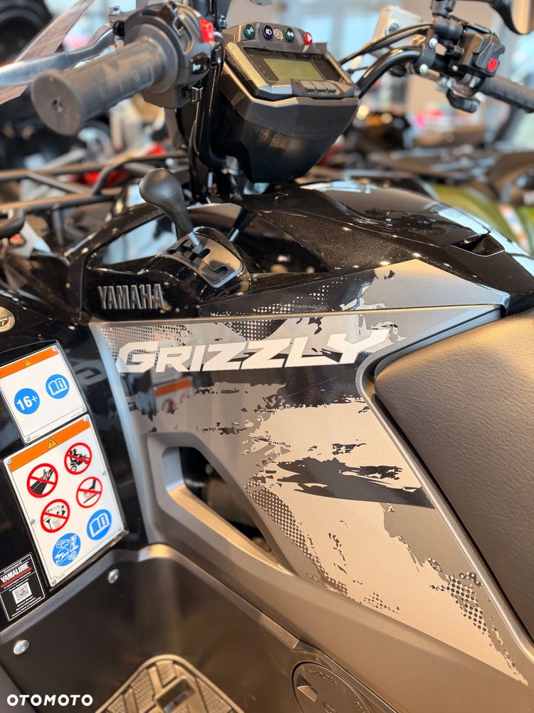 Yamaha Grizzly - 10