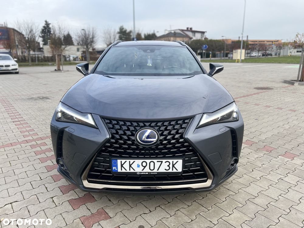 Lexus UX 250h GPF F Impression 2WD - 15