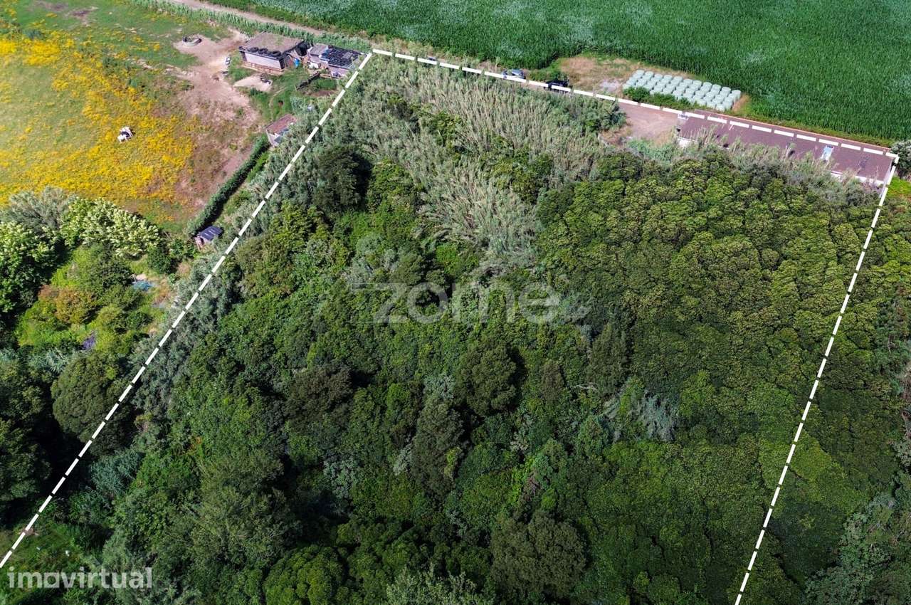 Terreno Rústico, 1/2 de 10.380 m² – Lomba de São Pedro - Grande imagem: 5/15