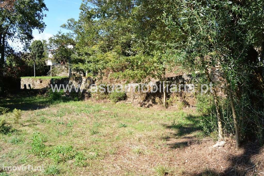 Terreno c/ Viabilidade de Construção - Fiscal - Grande imagem: 3/9