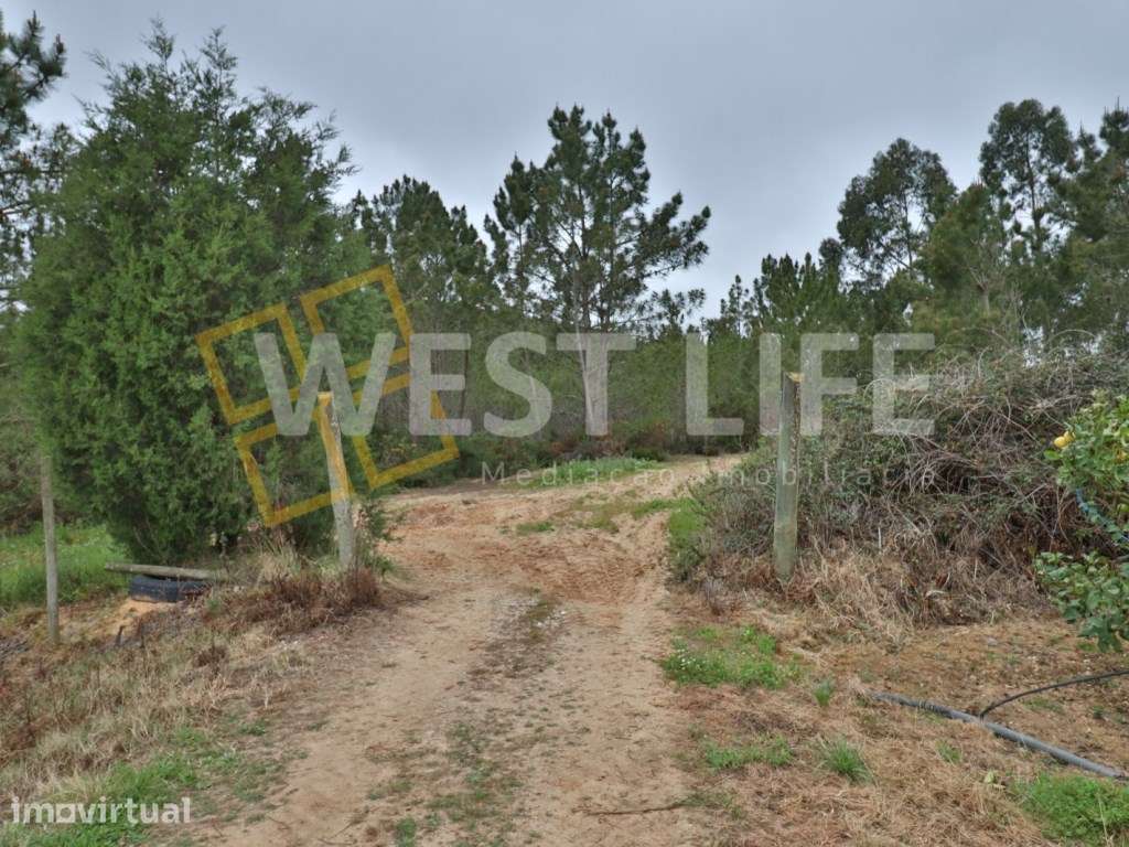 Terreno no Sobral de Abelheira - Terreno rústico de 5025m2 - Grande imagem: 3/10