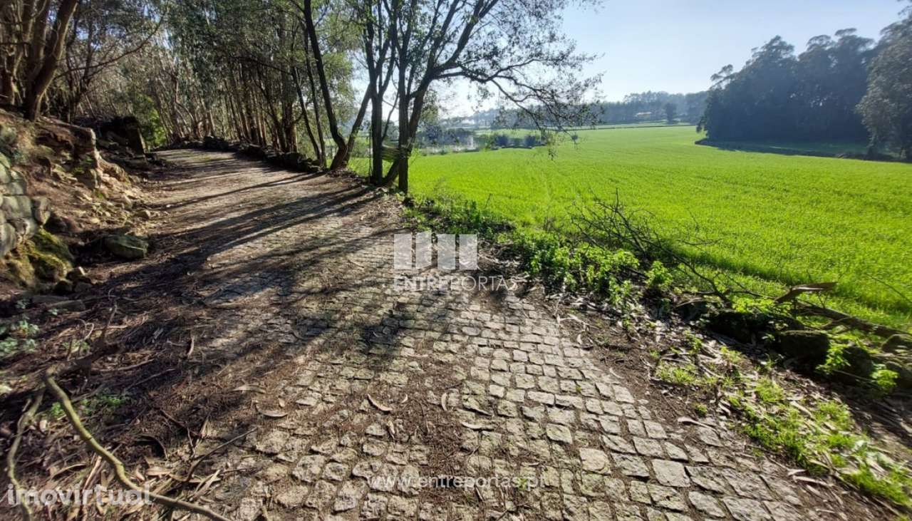 Venda de Terreno, Vairão, Vila do Conde - Grande imagem: 2/11