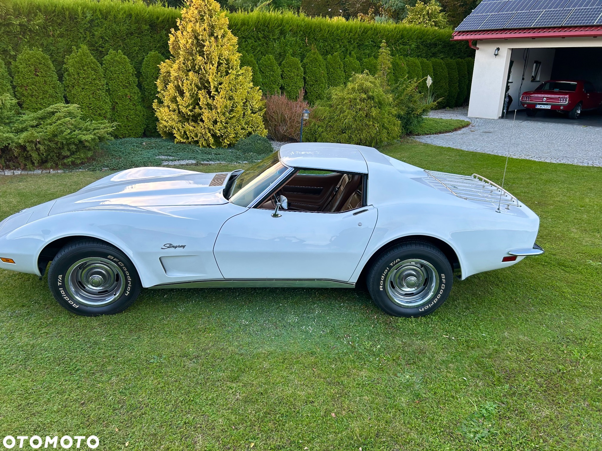 Chevrolet Corvette - 18