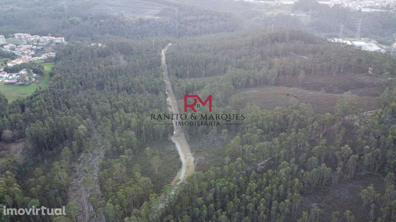 TERRENO RÚSTICO | VALONGO, ZONA "CABEDA" - Grande imagem: 2/12