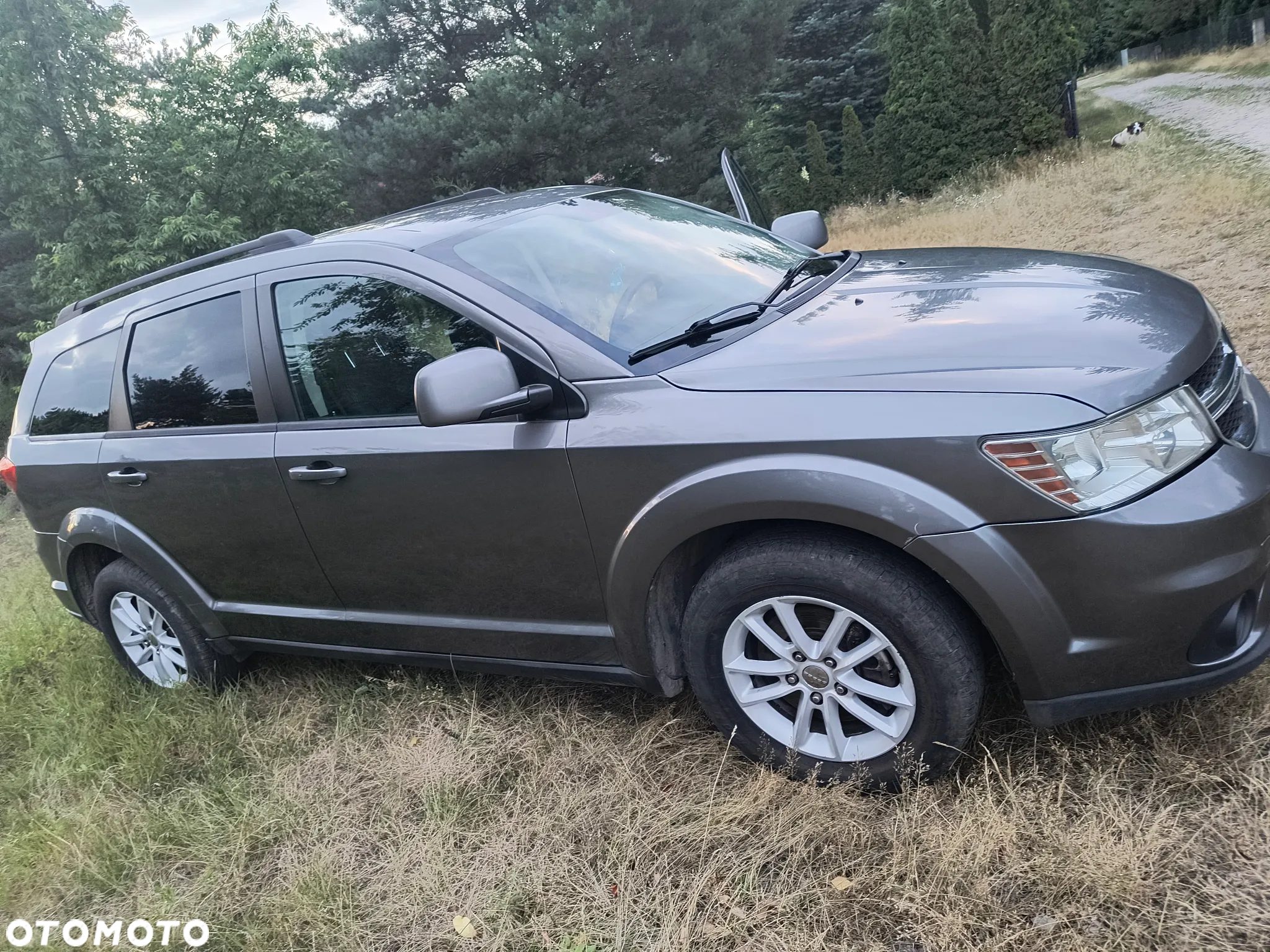 Dodge Journey - 3