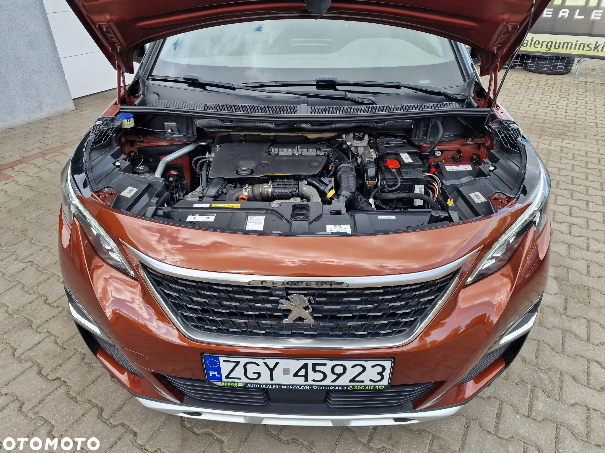 Peugeot 3008 - 19
