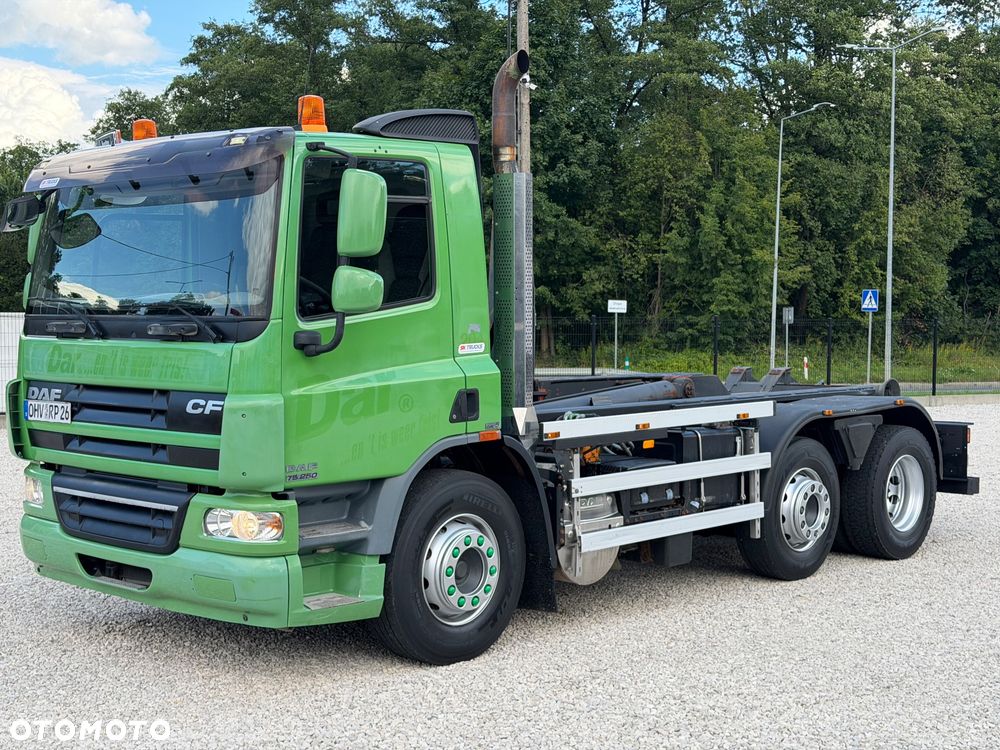 DAF CF 250/EURO 5/Z NIEMIEC - 13
