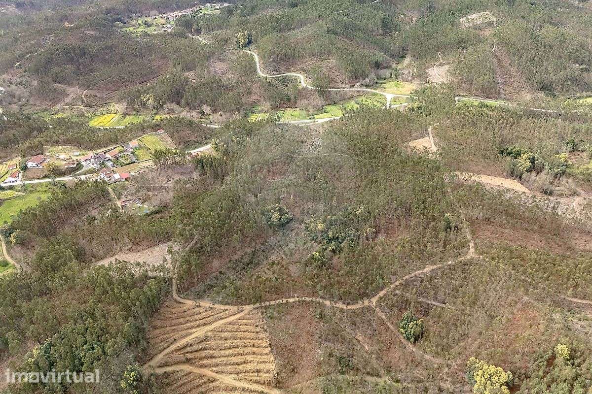 Terreno  para venda - Vista 3