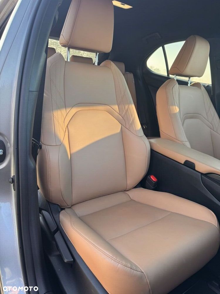 Lexus UX 250h GPF F Sport Design 2WD - 10