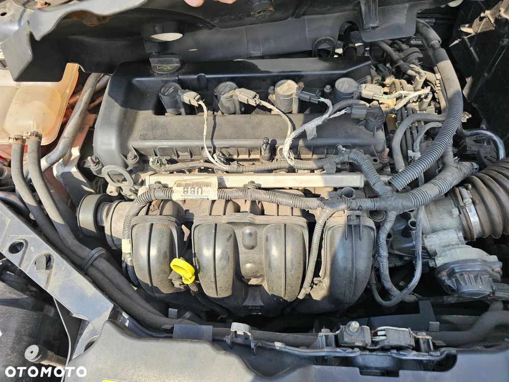 Ford Focus - 15