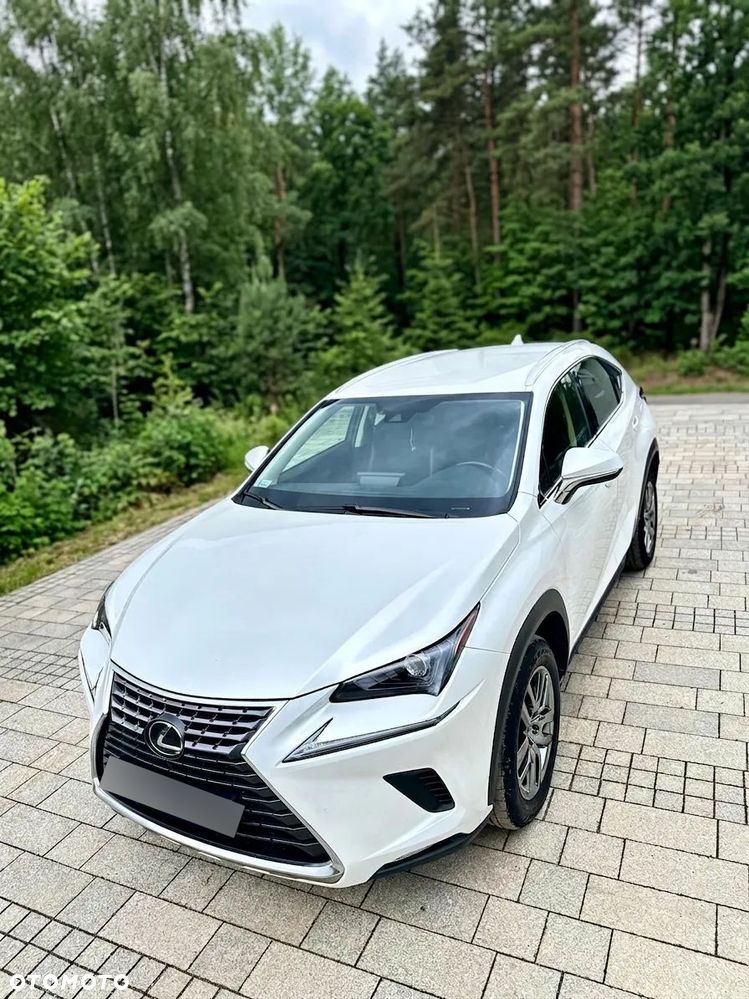 Lexus NX 300 Elegance AWD - 2