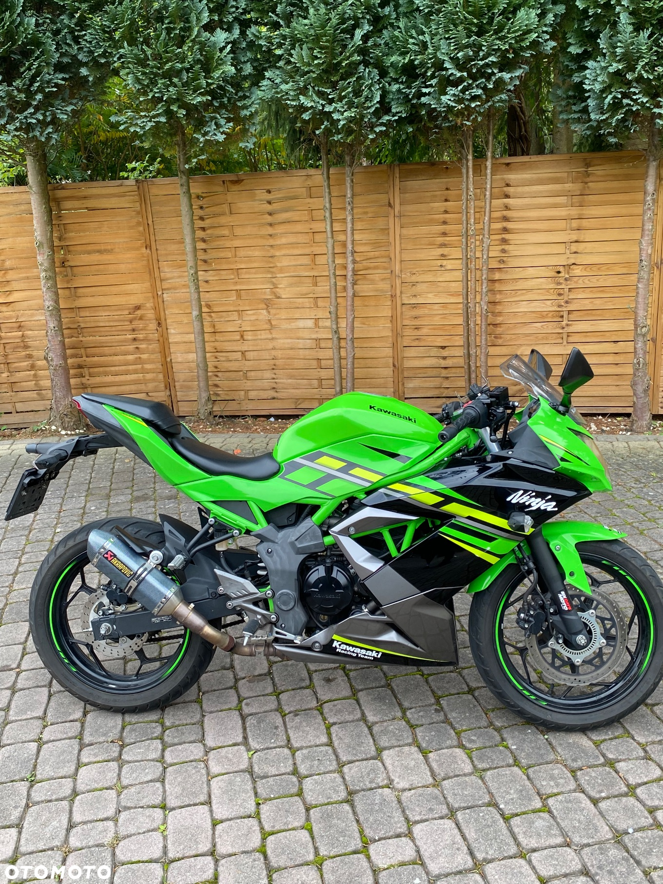Kawasaki Ninja - 2
