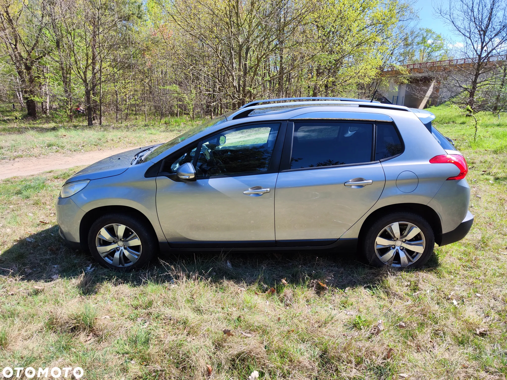 Peugeot 2008 - 6