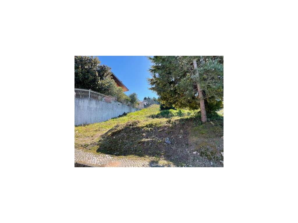 Lote de terreno com vistas para a cidade - Carvalhais - Grande imagem: 3/9