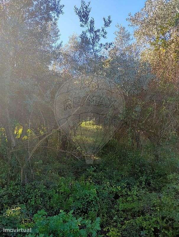 Terreno  para venda - Grande imagem: 2/8