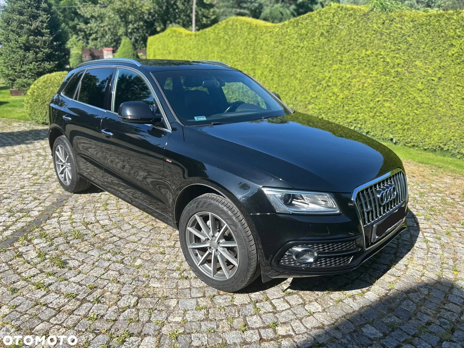 Audi Q5 2.0 TDI clean diesel Quattro S tronic - 2