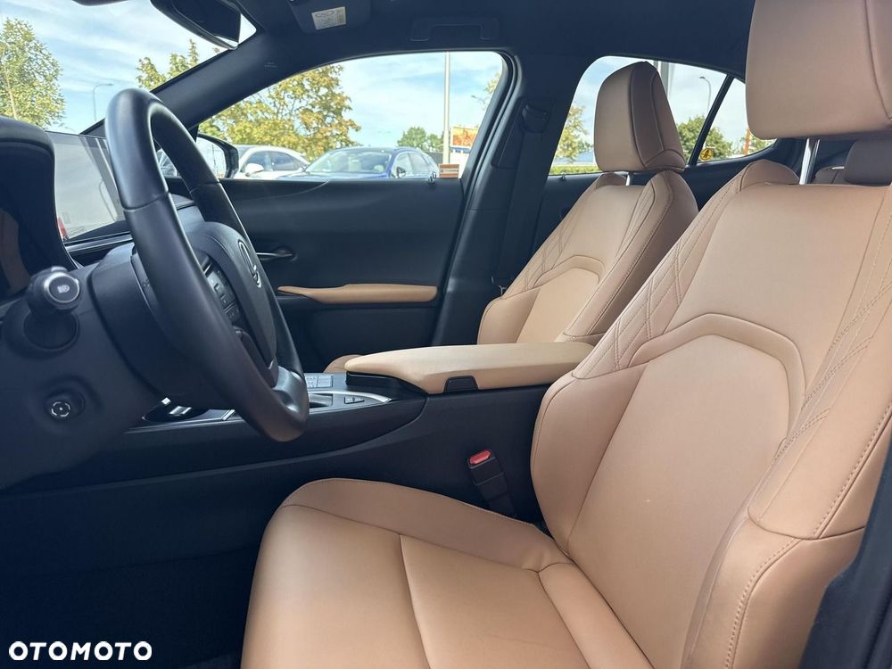Lexus UX 250h GPF F Sport Design 2WD - 12