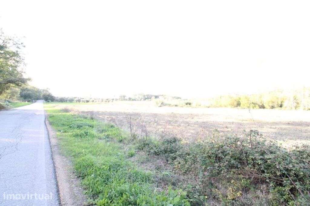 Terreno para construção com 7600m2 | Possibilidade de loteamento | Sou - Grande imagem: 5/16