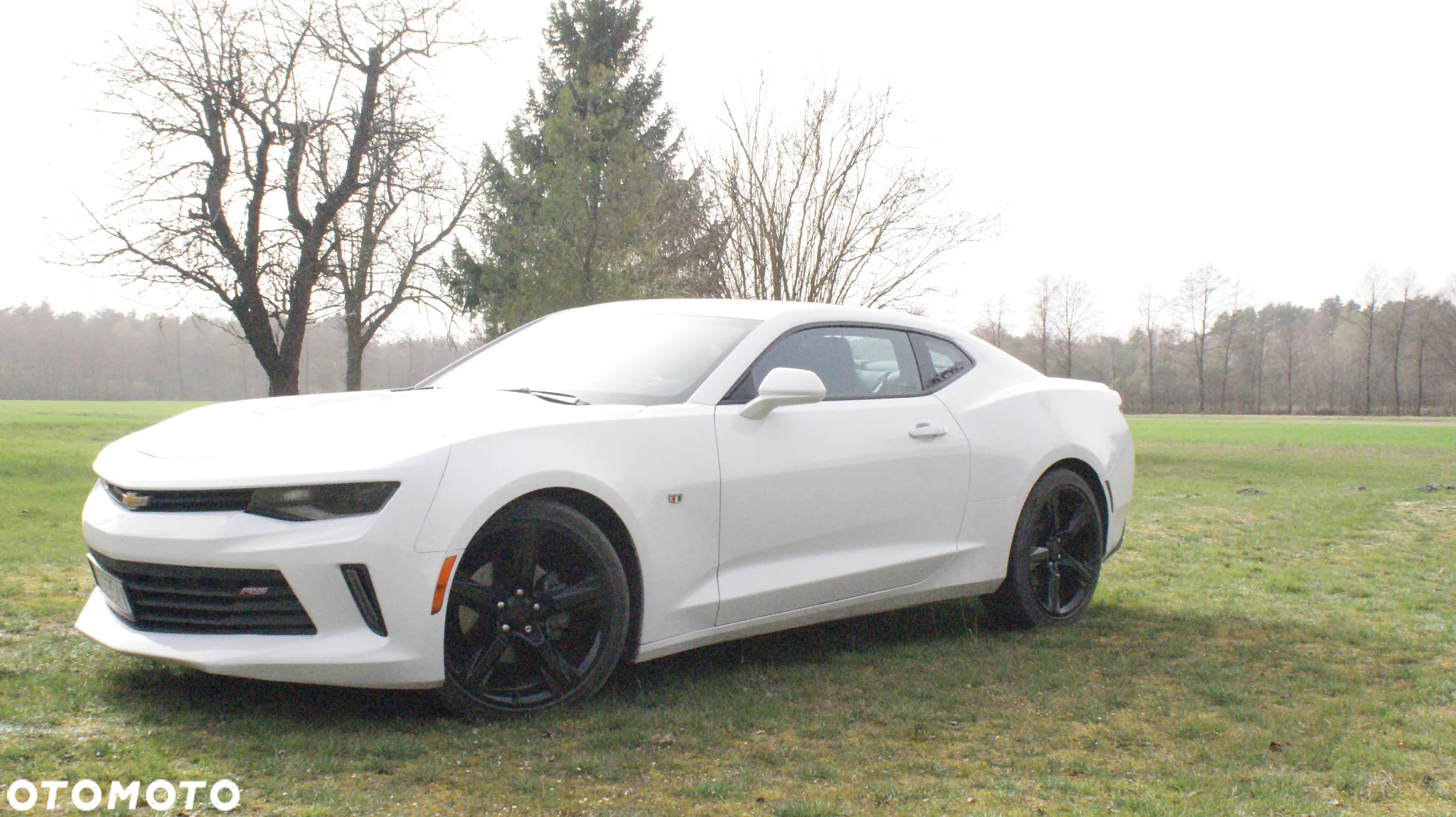 Chevrolet Camaro Coupe 2.0 - 18