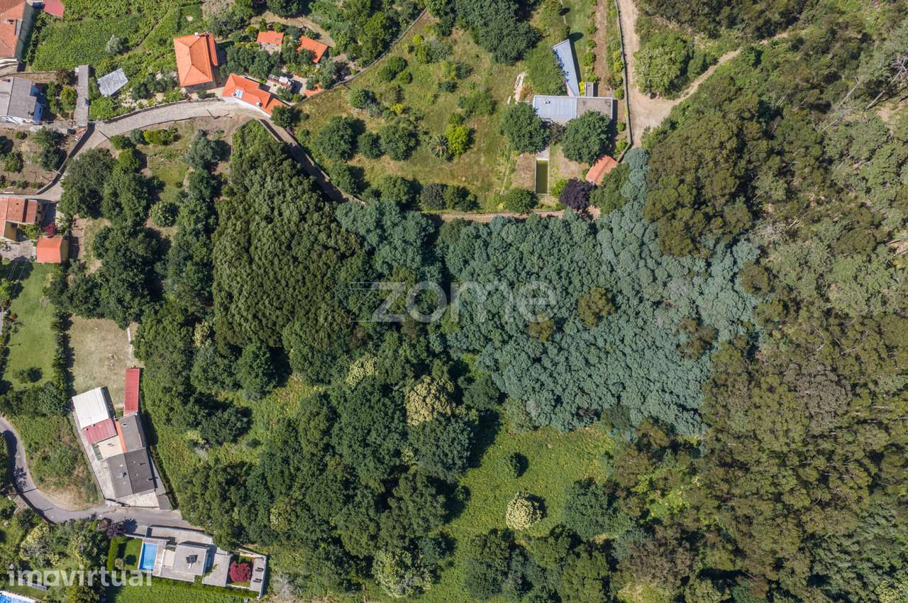 Terreno em Caminha com Vista para a Foz do Rio Minho - Grande imagem: 4/17