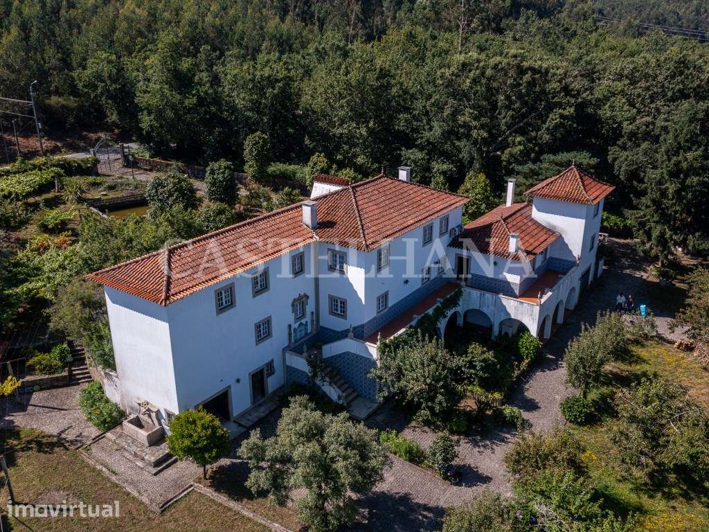 Moradia T6 com terreno 7300m2, localizada a 30 minutos do Porto - Grande imagem: 2/60