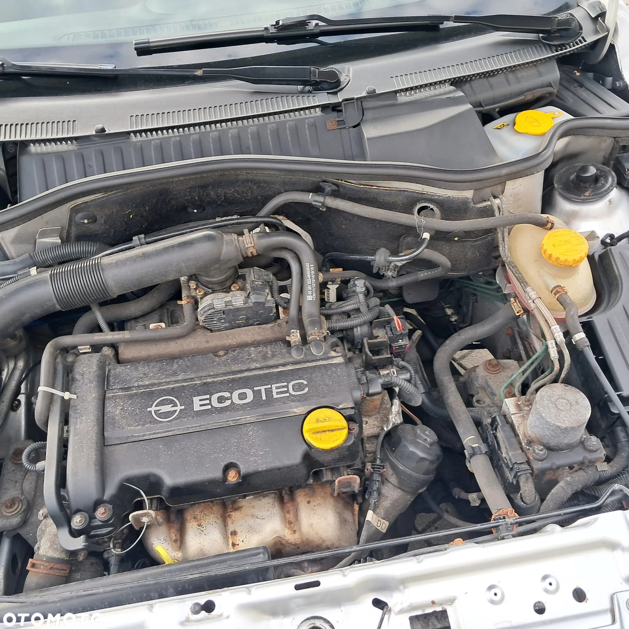 Opel Tigra - 20