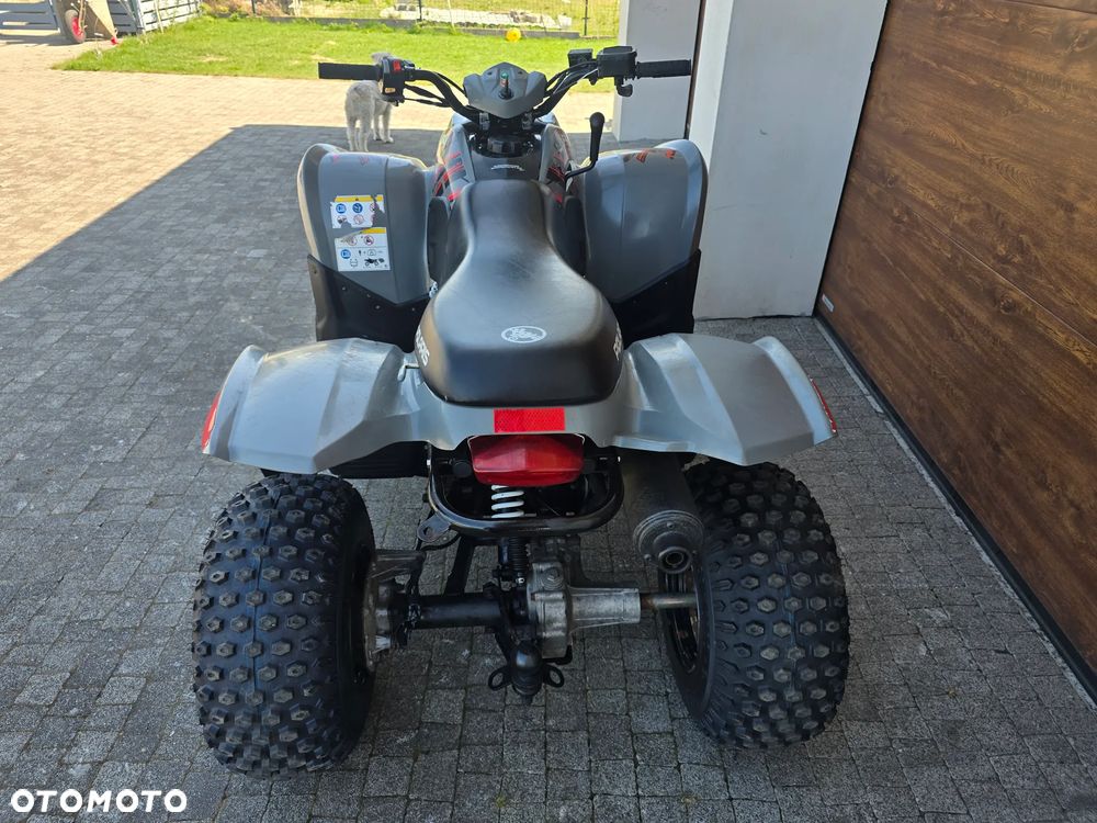 Polaris Phoenix - 16