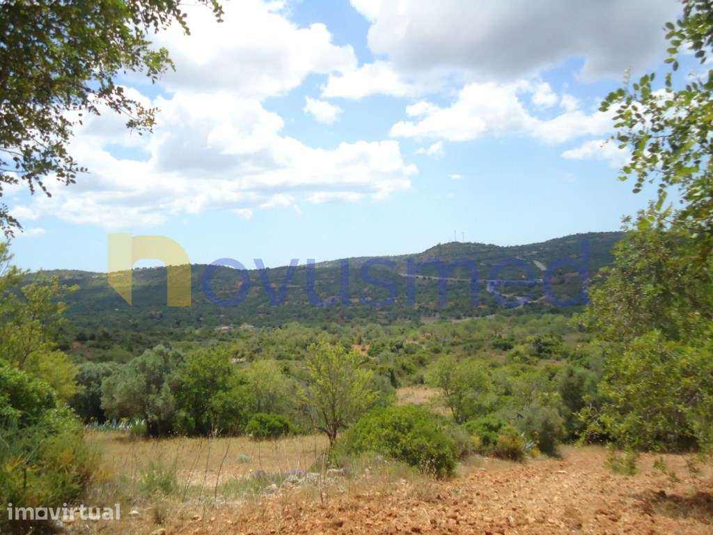 Terreno rústico em Paderne com vista Mar - Grande imagem: 5/15