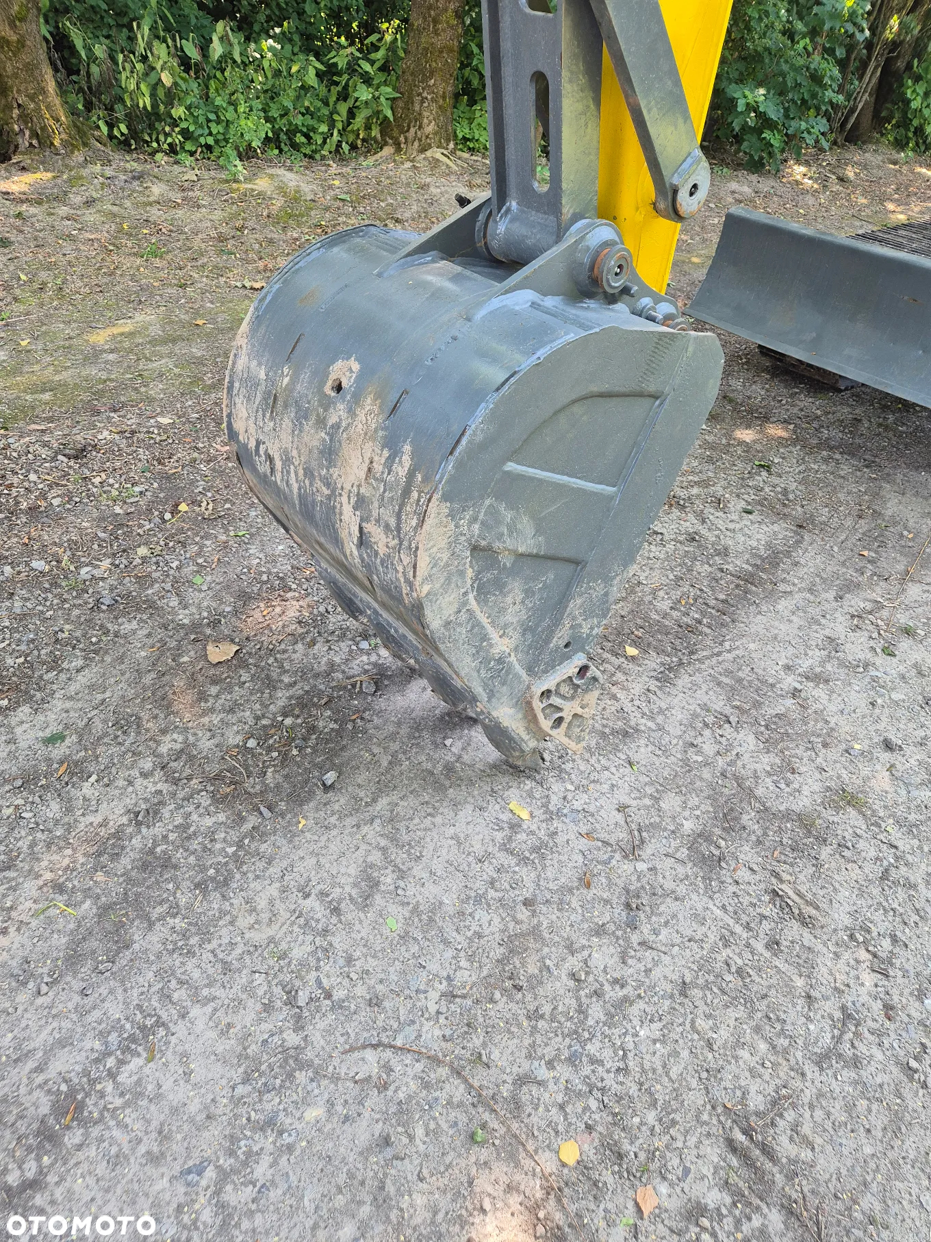 Wacker Neuson 6003 - 10