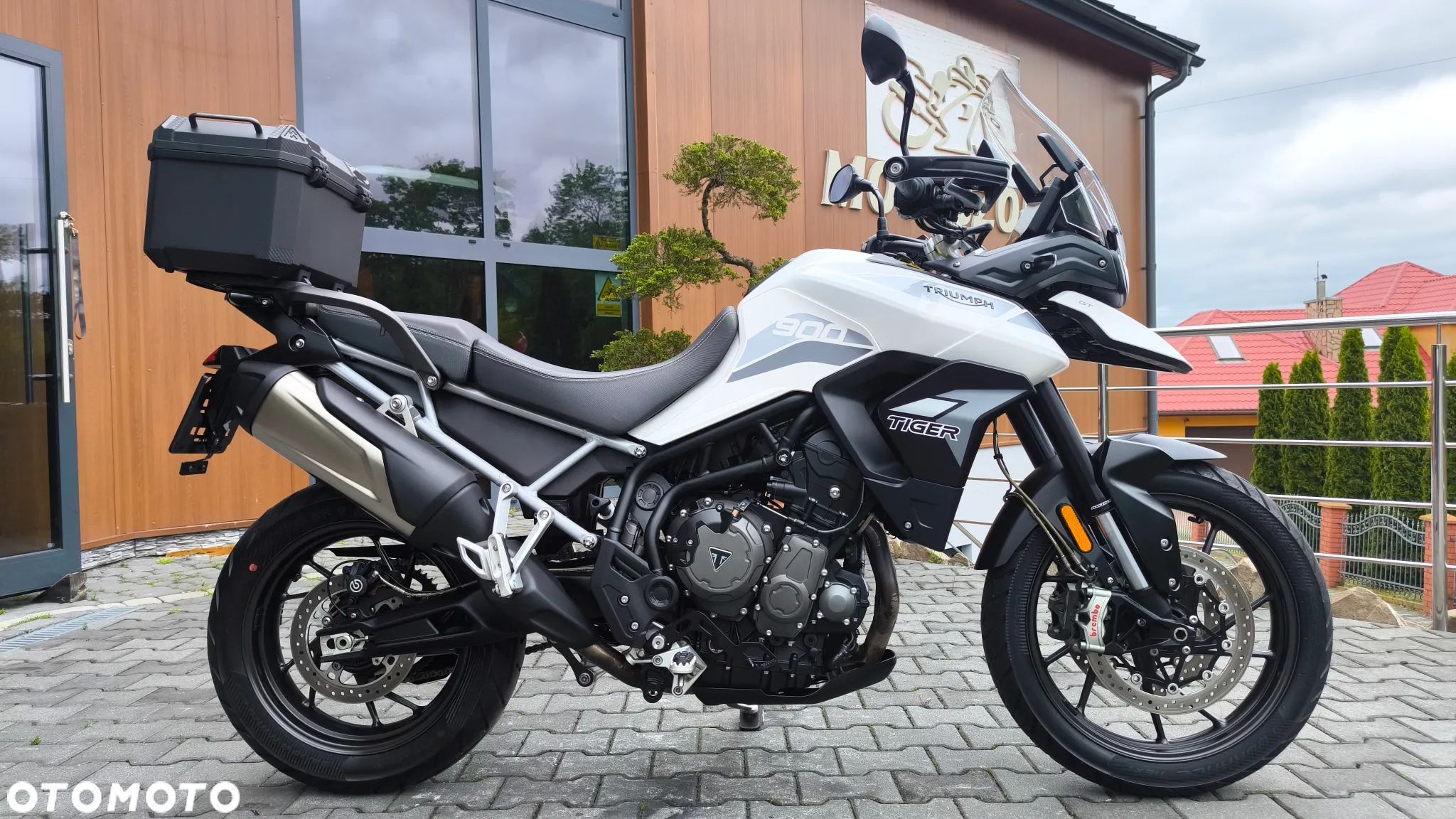 Triumph Tiger - 1