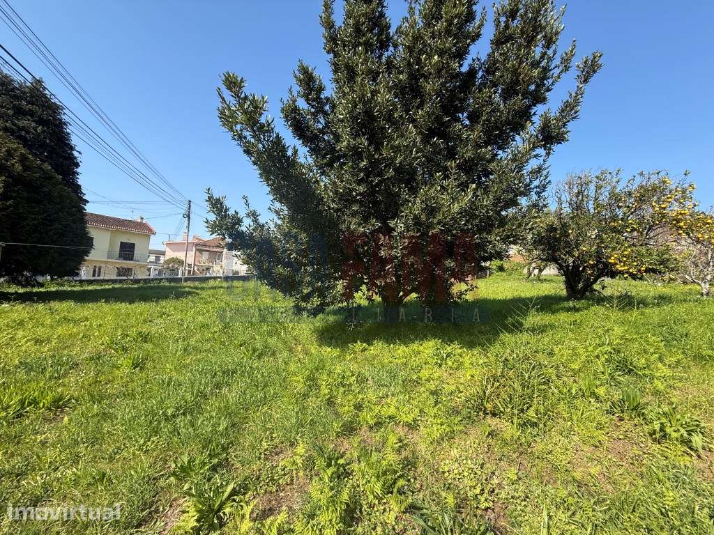 Terreno Beiriz - 41m de Frente - Ideal para Moradias - Grande imagem: 5/25