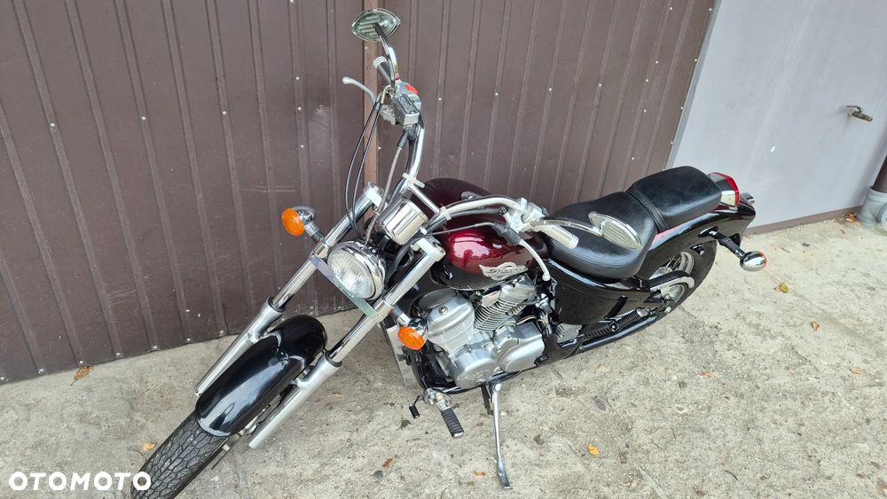 Honda Shadow - 22