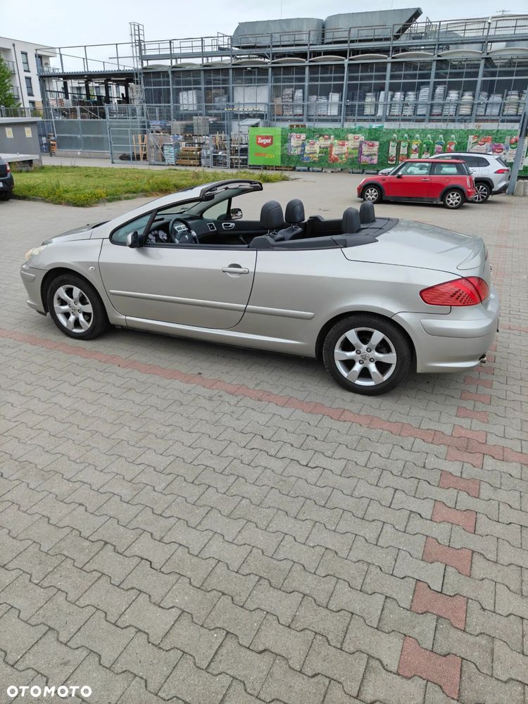 Peugeot 307 CC 2.0 Intense - 19