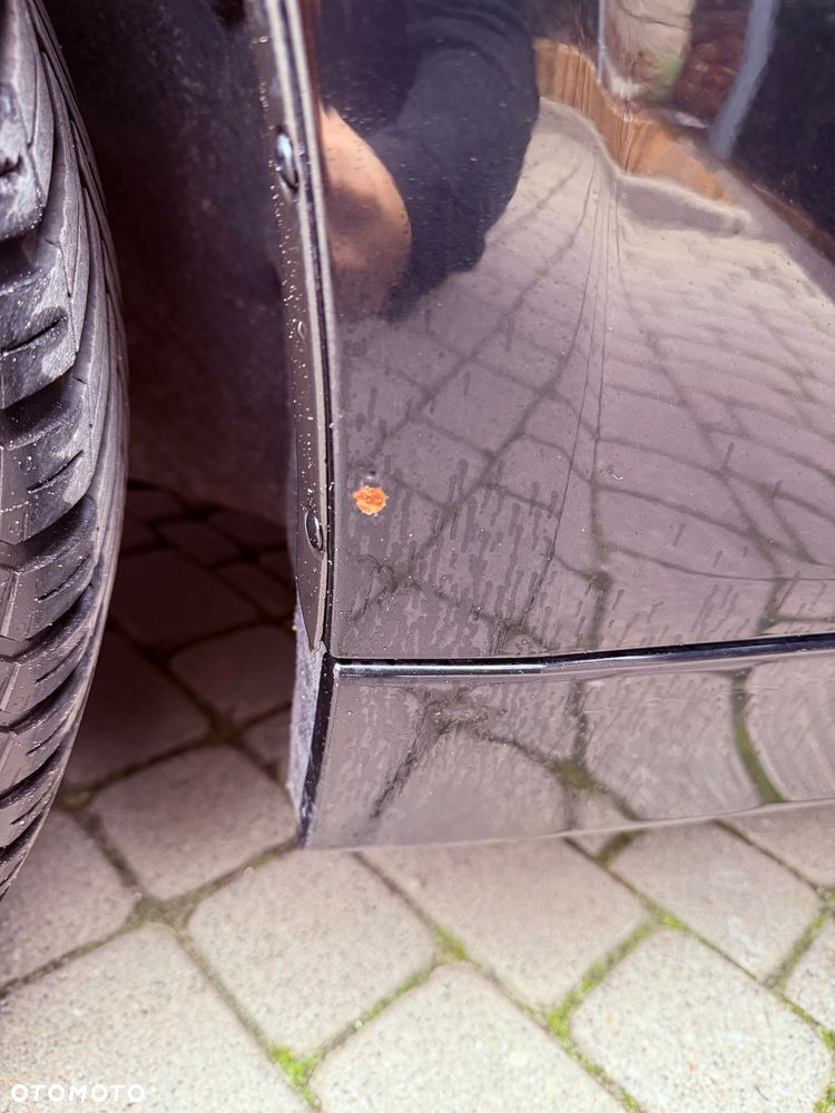 BMW Seria 3 320d Blue Performance - 21