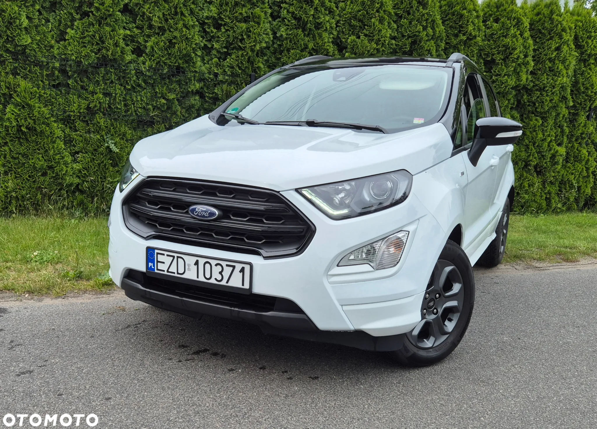 Ford Fiesta - 25