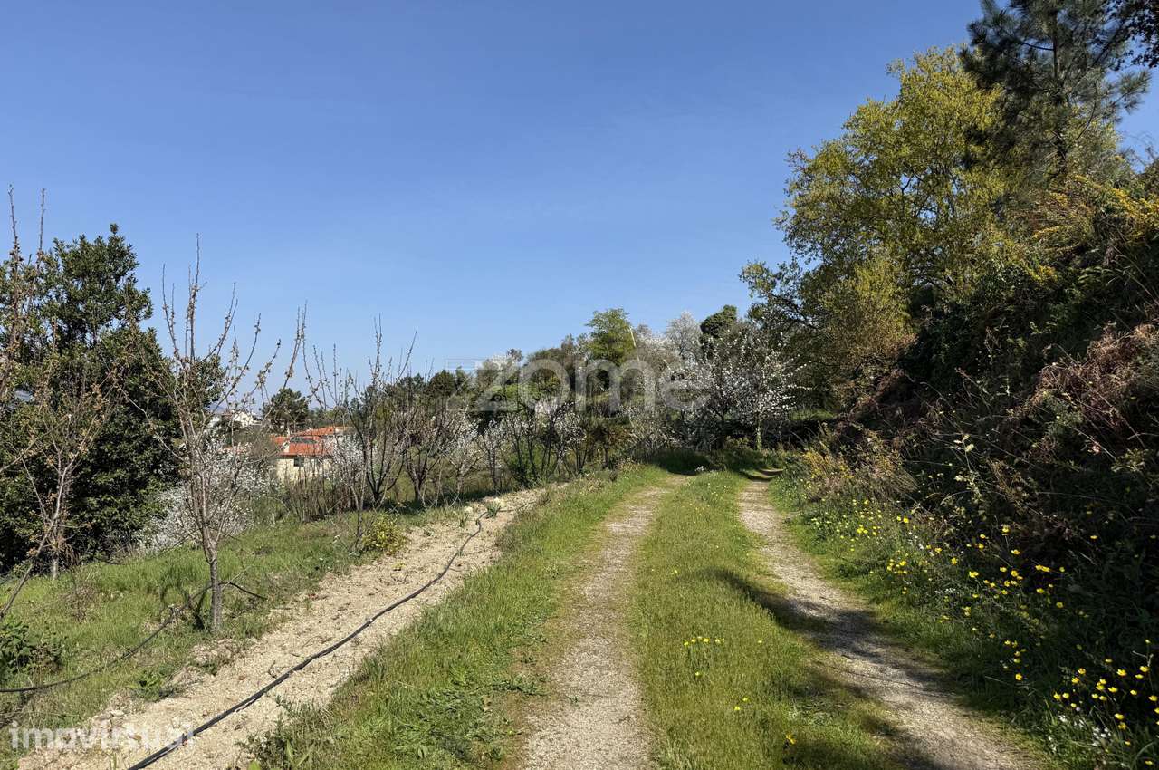 Propriedade 11ha com vários terrenos, em Palma, Resende - Grande imagem: 2/35