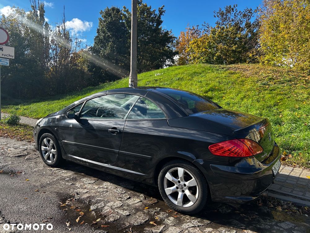 Peugeot 307 CC 2.0 - 5