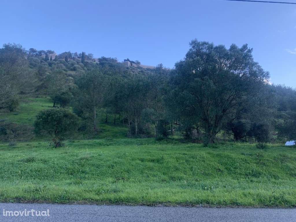 Terreno Rústico com capacidade construtiva - Grande imagem: 3/3