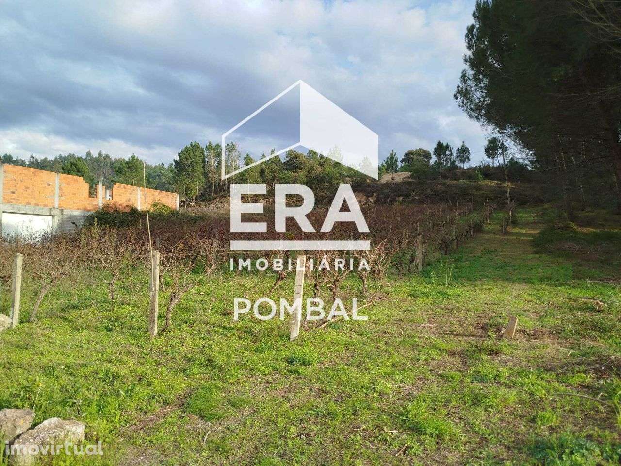Terreno para construção localizado em Louriçal, Pombal - Grande imagem: 2/5