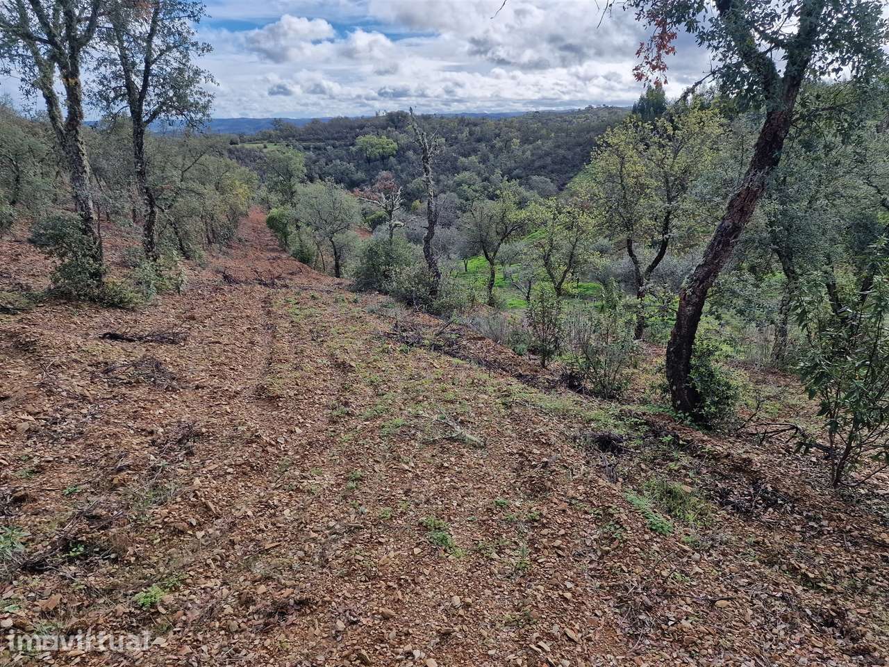 Terreno  Venda em Santa Cruz,Almodôvar - Grande imagem: 2/9