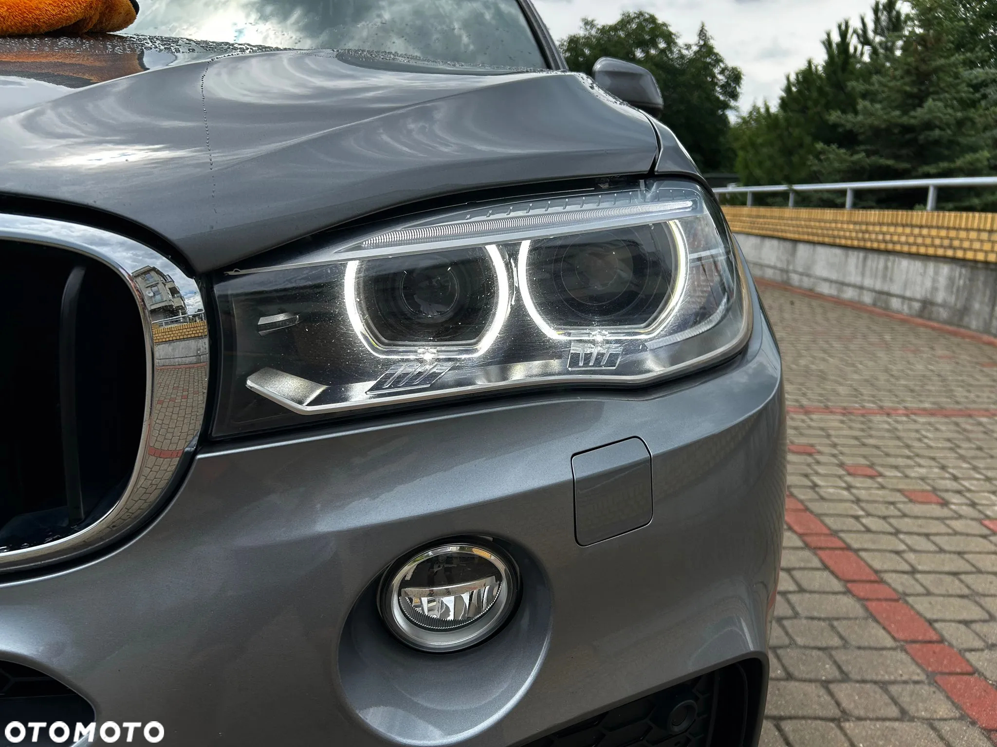 BMW X5 xDrive25d sport - 12