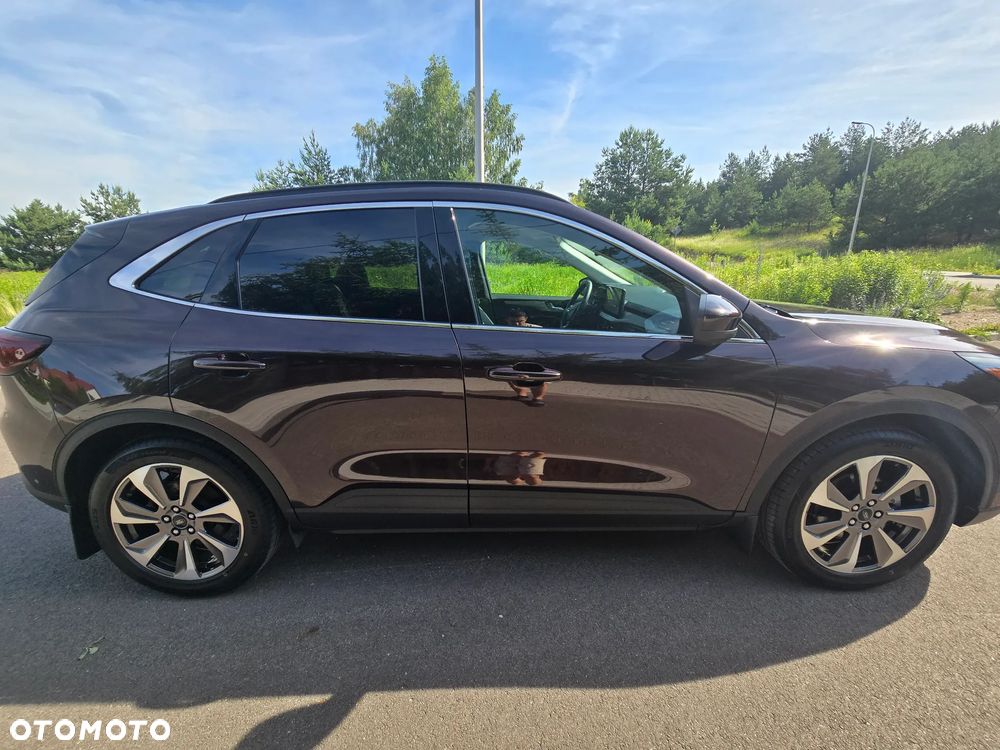 Ford Escape - 7