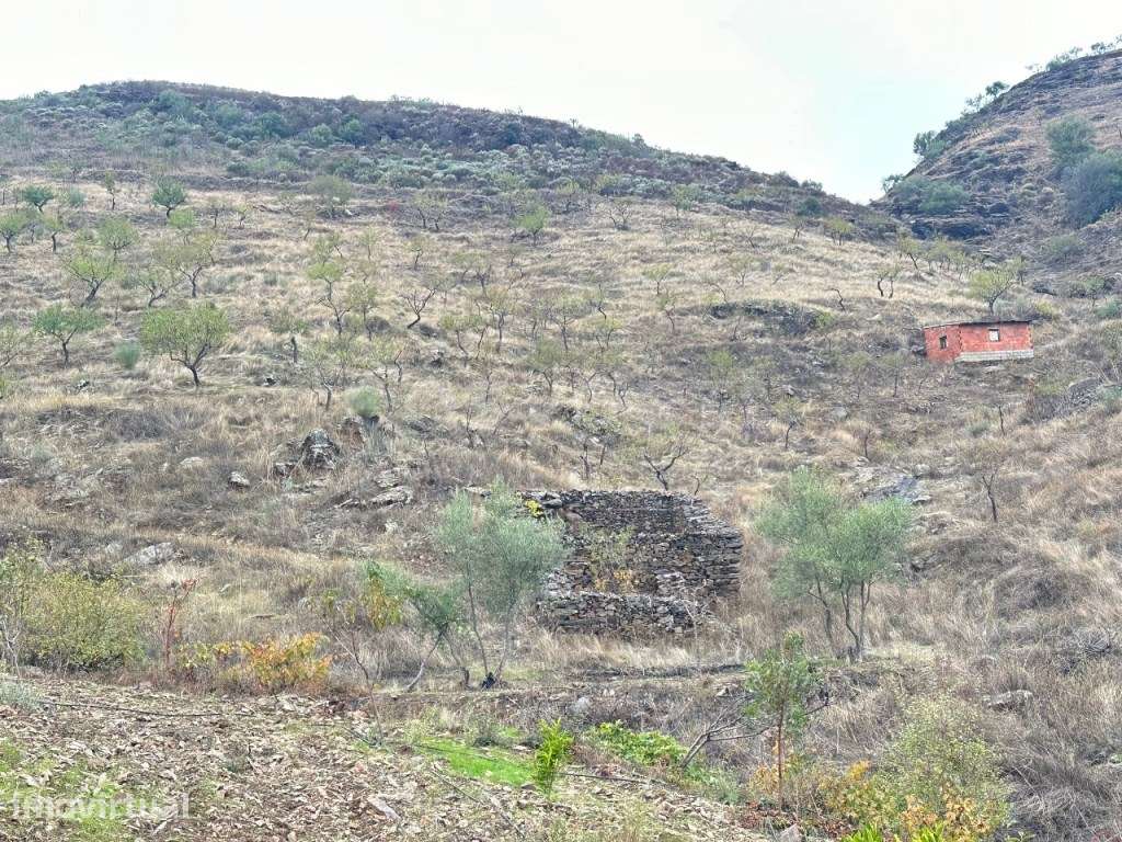 'Quinta de 16 Hectares no Coração do Parque Natural do Douro, em Fr... - Grande imagem: 4/19
