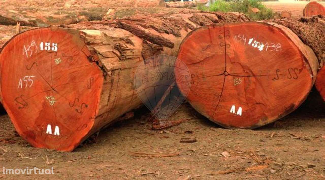 Armazém  para venda - Grande imagem: 2/3