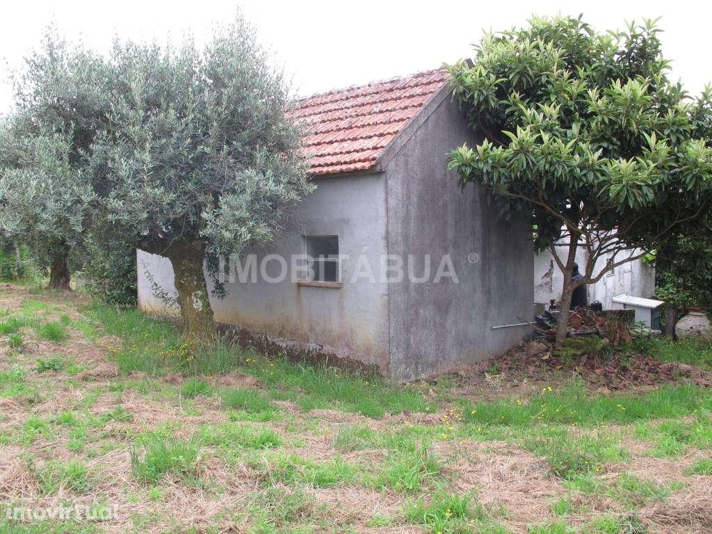 Moradia para recuperar - Grande imagem: 3/25