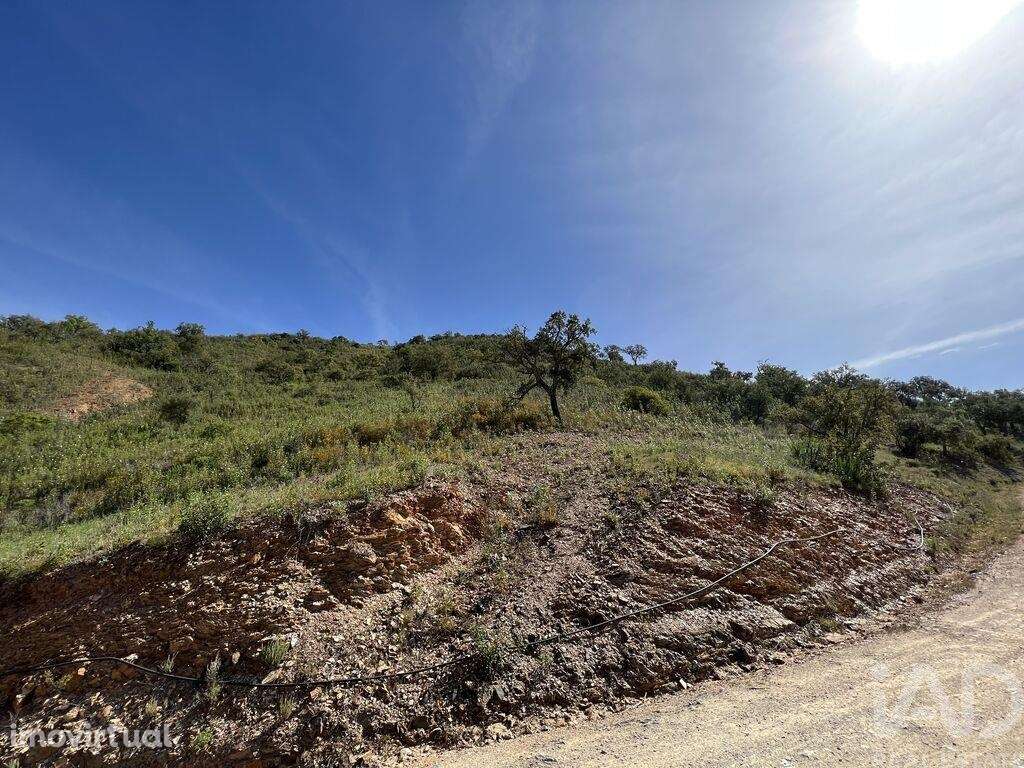 Terreno em Alte de 21390,00 m2 - Grande imagem: 5/11