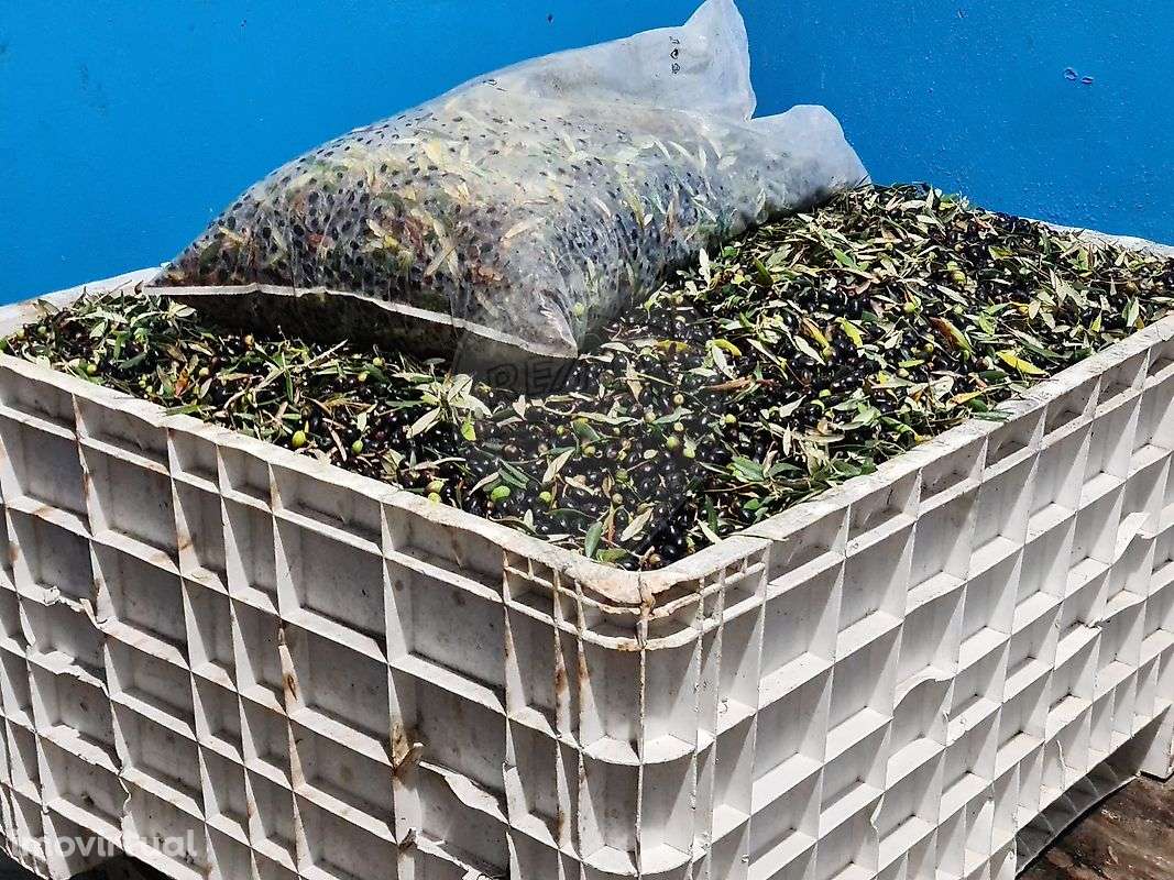 Quinta  para venda - Grande imagem: 2/4