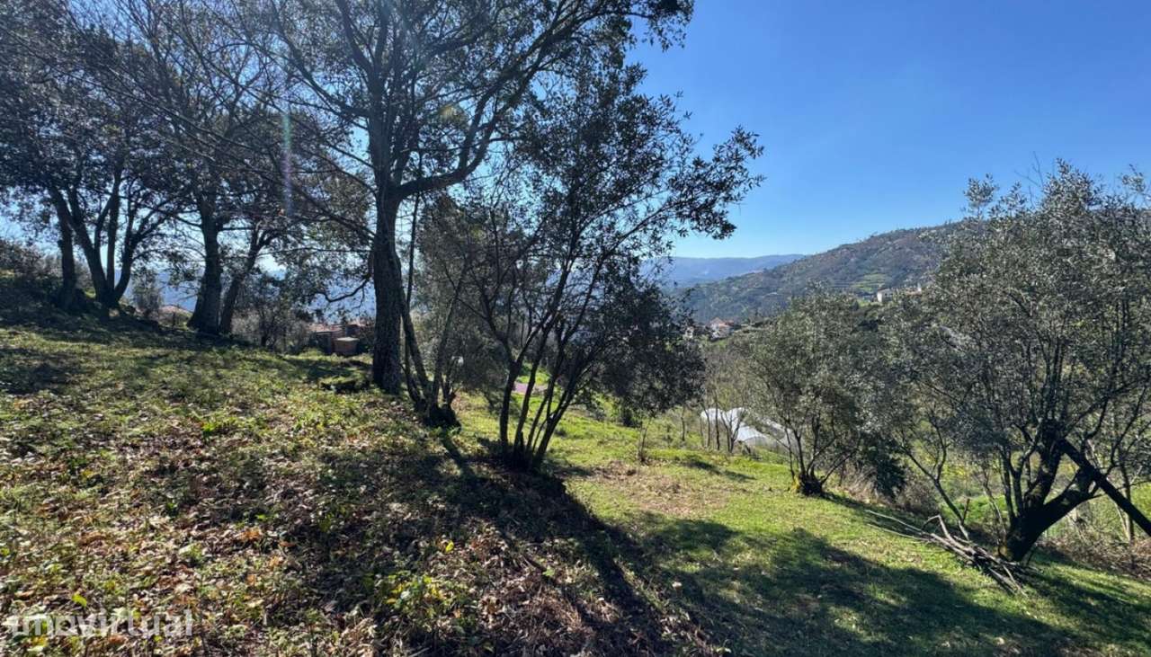 Venda Moradia para reconstruir, Sta. Cruz do Douro, Baião - Grande imagem: 3/30