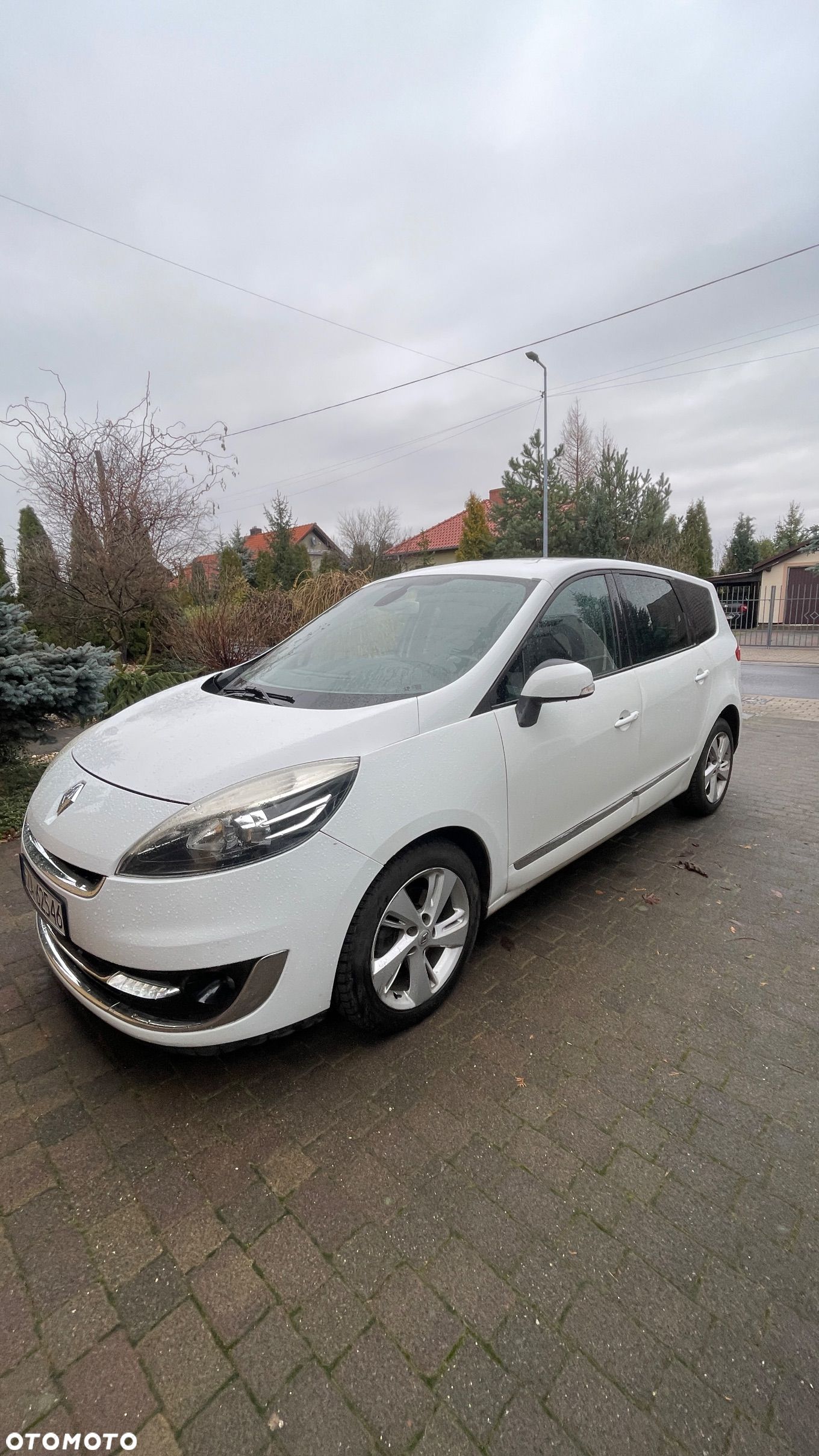 Renault Scenic - 1