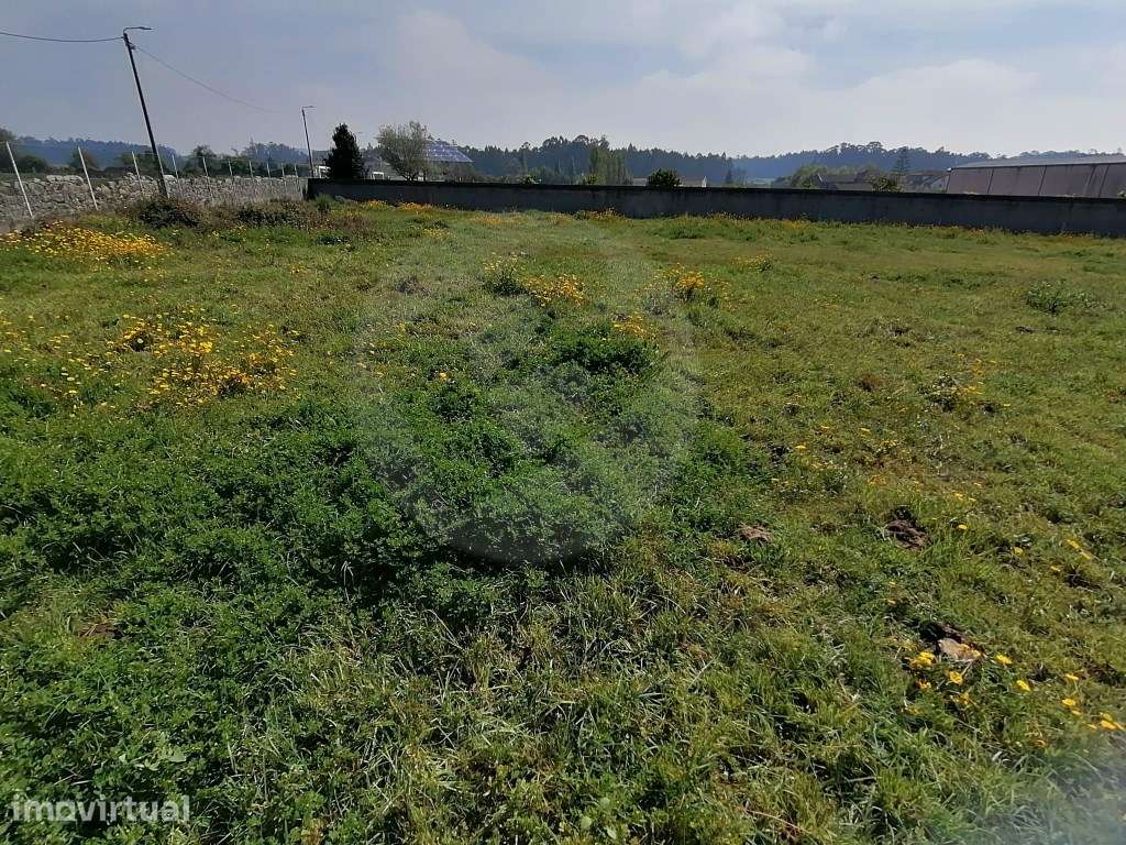 Lote de 254m2 em Gião Vila do Conde - Grande imagem: 2/21